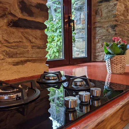 Kır Evi Bioxana Molejon